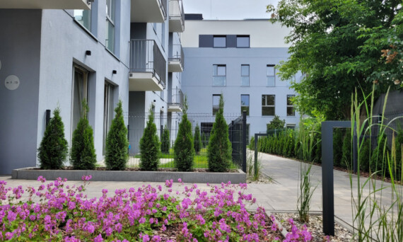 NEST Gołębia mieszkania Bydgoszcz